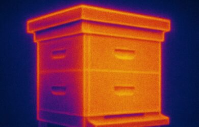 FLIR thermal image of an insulated beehive showing stable internal temperatures. The hive appears in warm orange and yellow tones with minimal heat loss, surrounded by cooler blue and purple background.