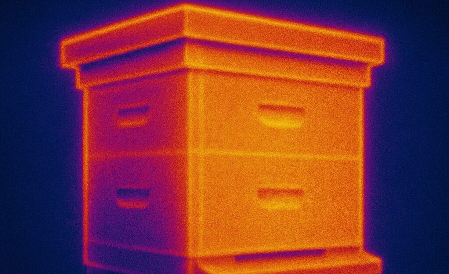 FLIR thermal image of an insulated beehive showing stable internal temperatures. The hive appears in warm orange and yellow tones with minimal heat loss, surrounded by cooler blue and purple background.
