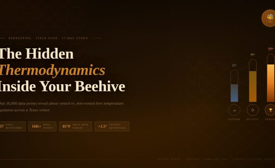 Chart comparing vented vs. non-vented beehive temperatures over 57 days in Seguin, TX — vented hives outperformed with better heat retention and humidity co